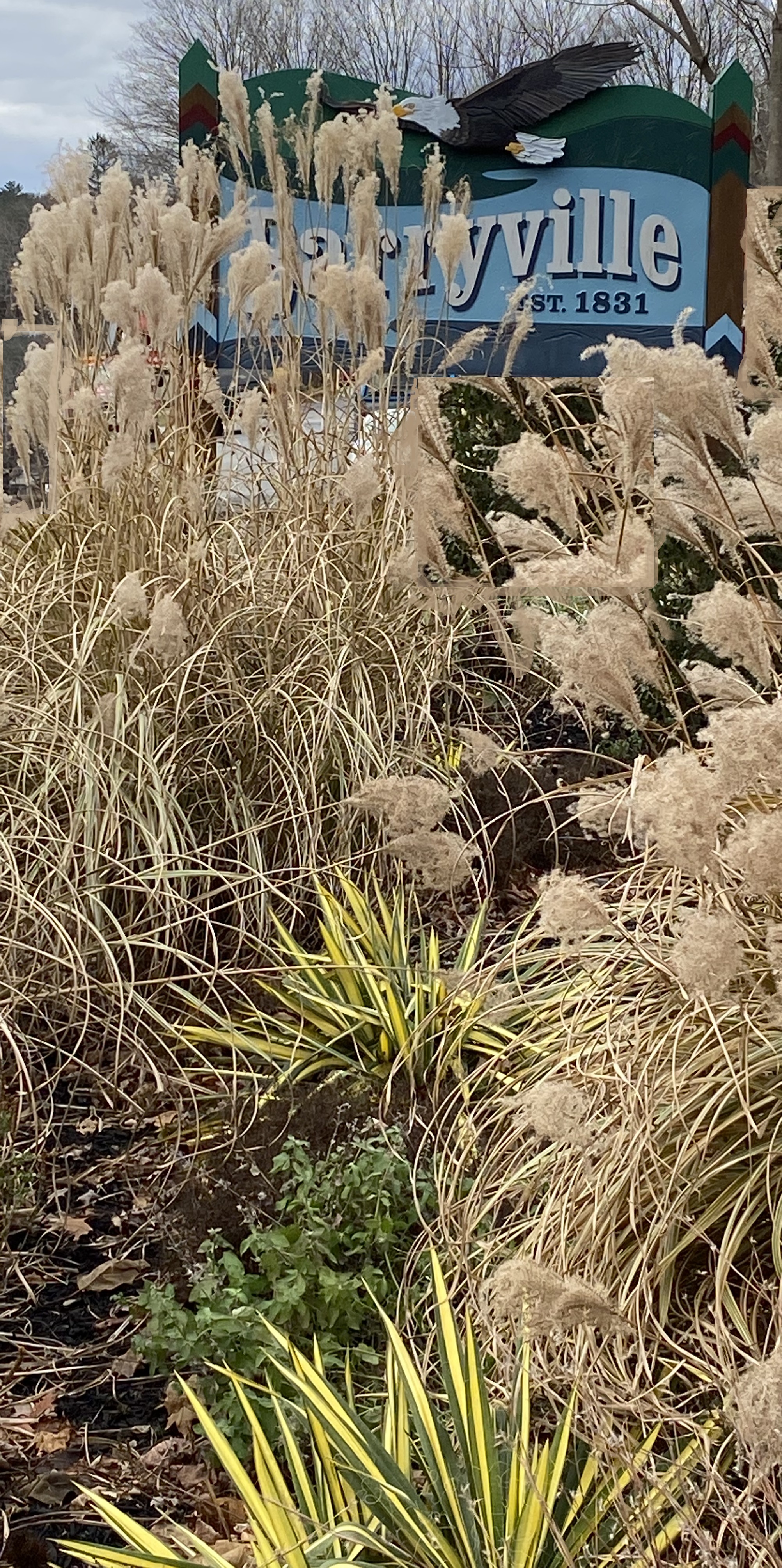 Click picture to ZOOM